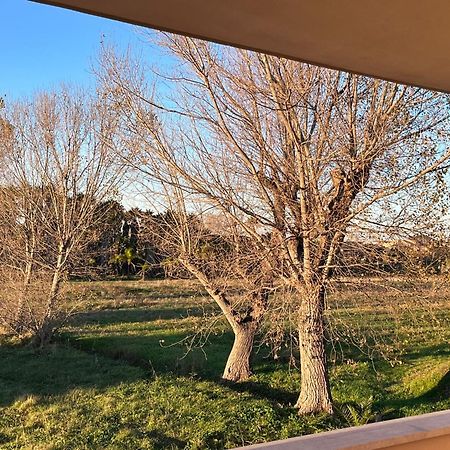 Apartmán Lizzies Hus Fiumicino Exteriér fotografie