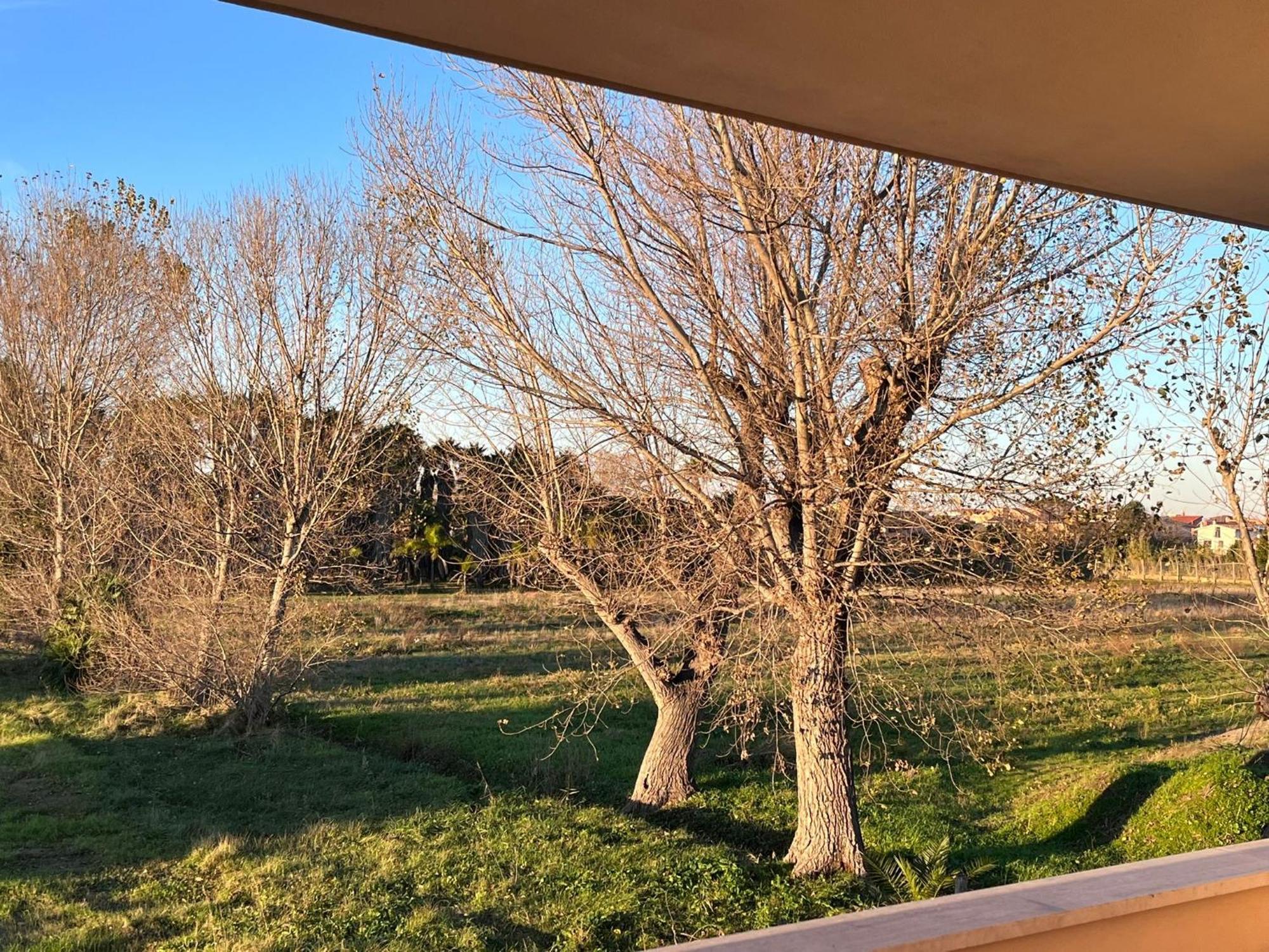Apartmán Lizzies Hus Fiumicino Exteriér fotografie